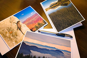 Greeting cards and prints for sale.  Pricing